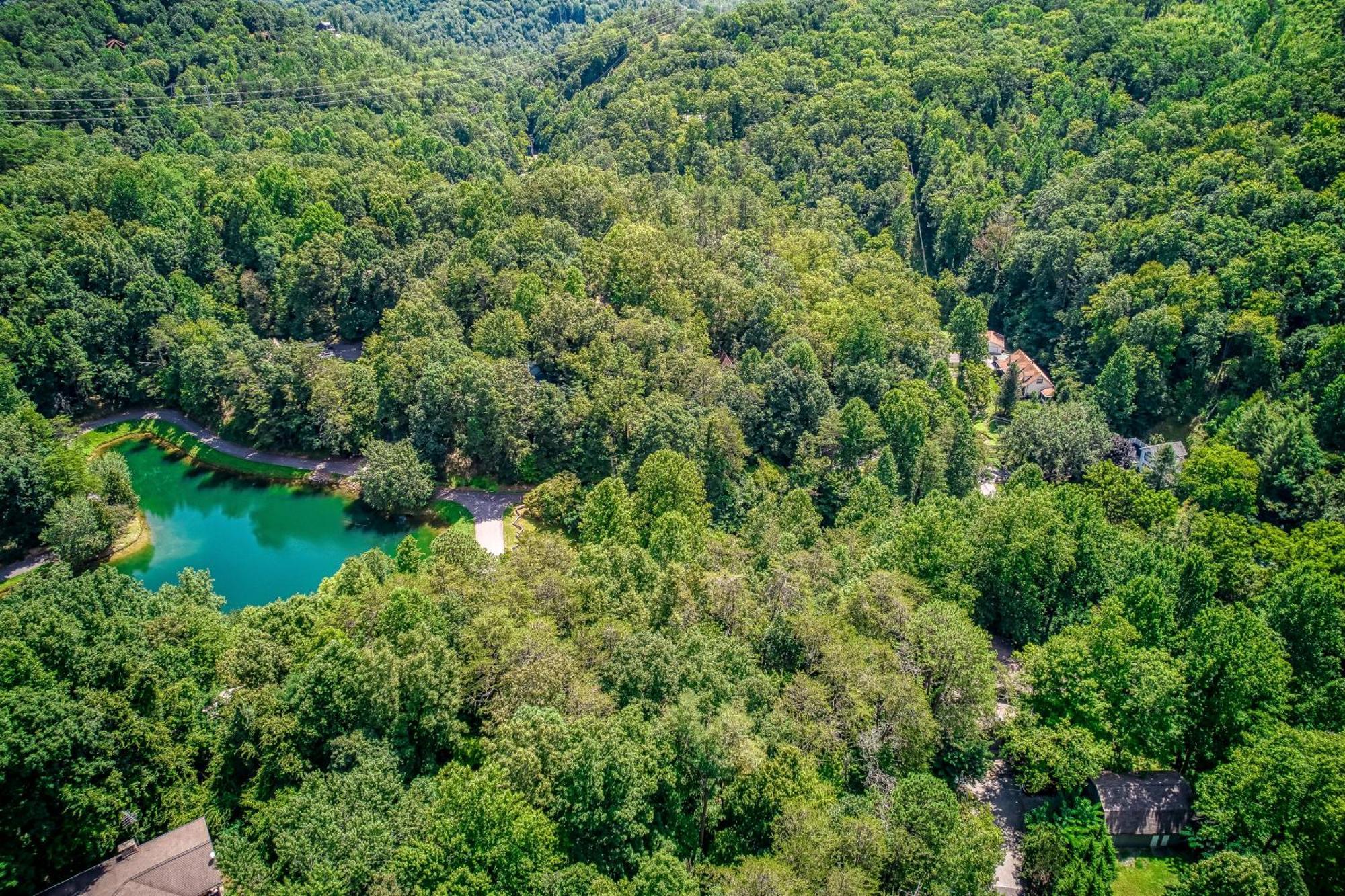 Mountain Lake Lodge, Hot Tub, Theater Room, 1089 Free Tickets Each Paid Day, Dollywood And More Sevierville Eksteriør billede