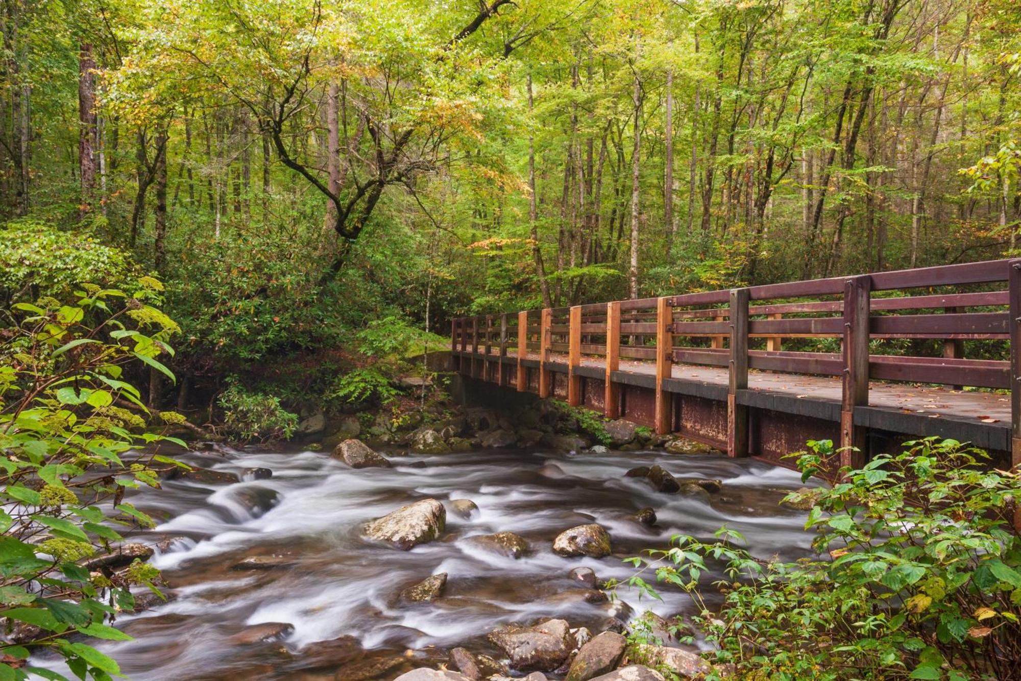 Mountain Lake Lodge, Hot Tub, Theater Room, 1089 Free Tickets Each Paid Day, Dollywood And More Sevierville Eksteriør billede